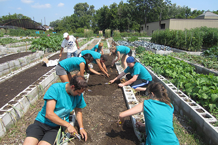 Farm/Gardening Session